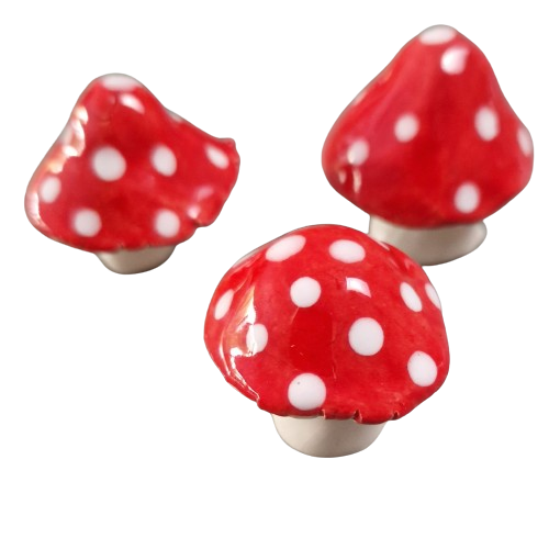 Mushrooms Set