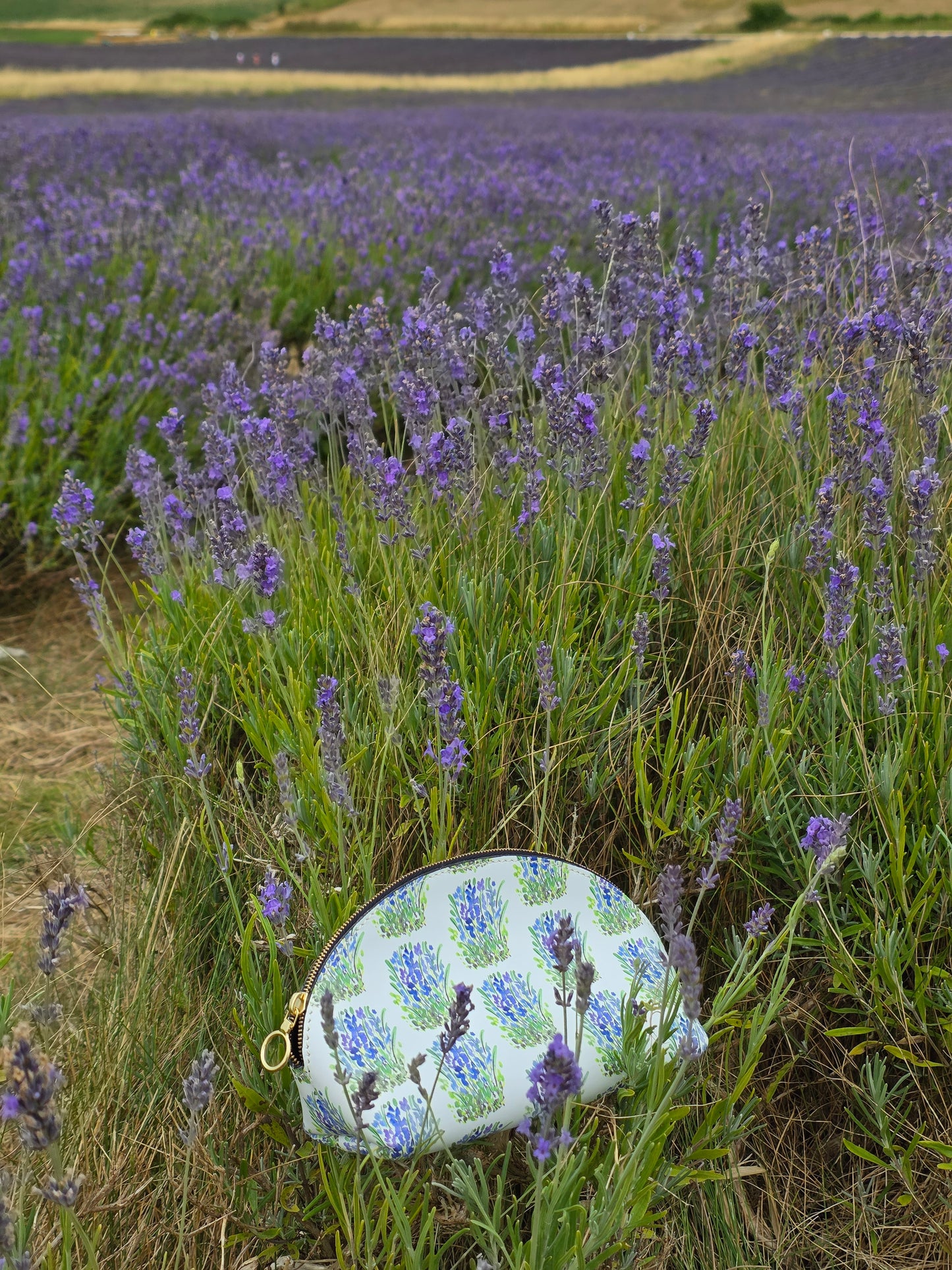Lavender Fields Make up Bag / Wash Bag