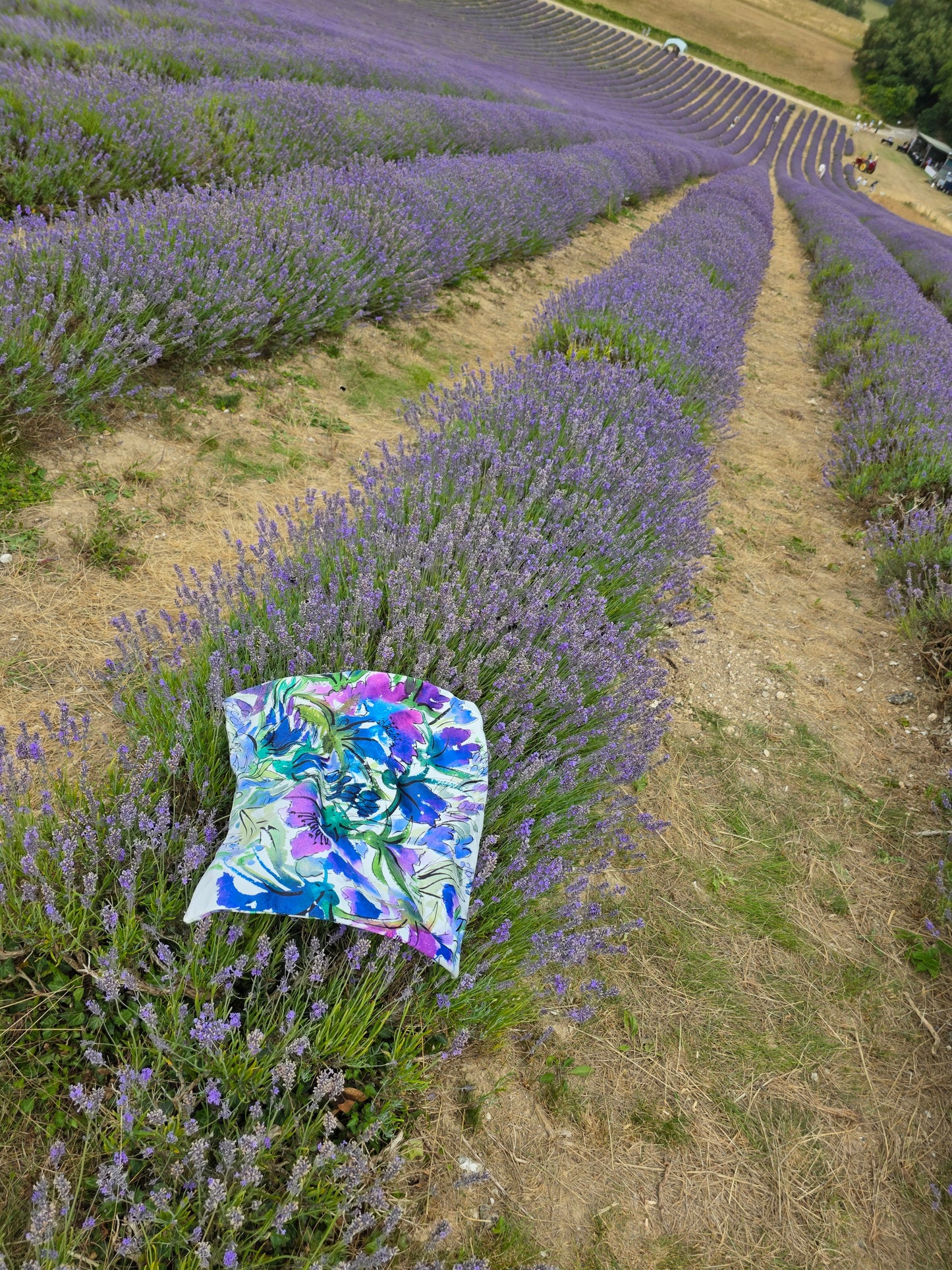 Cushion Cover - Purple Impact