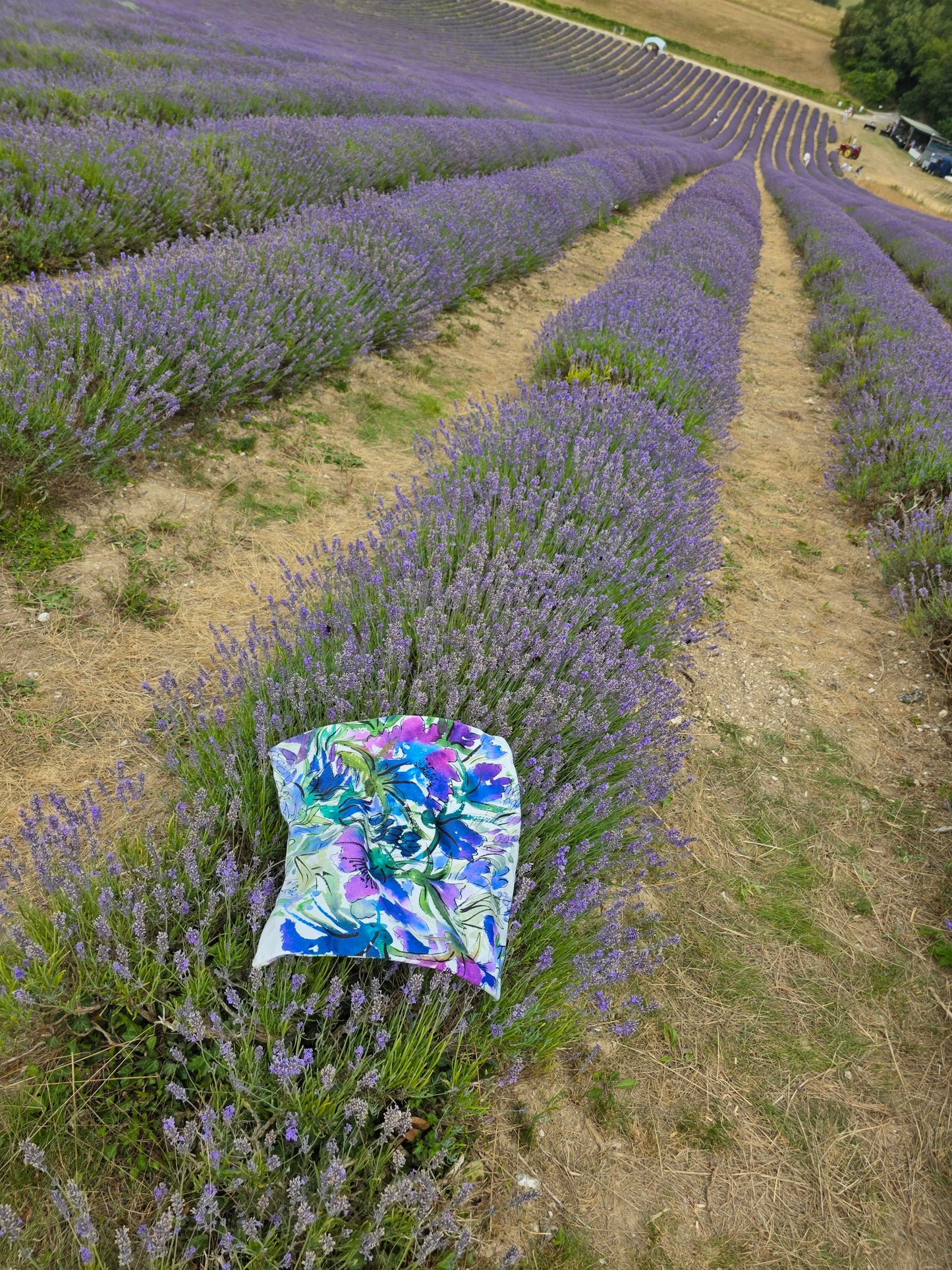 Cushion Cover - Purple Impact