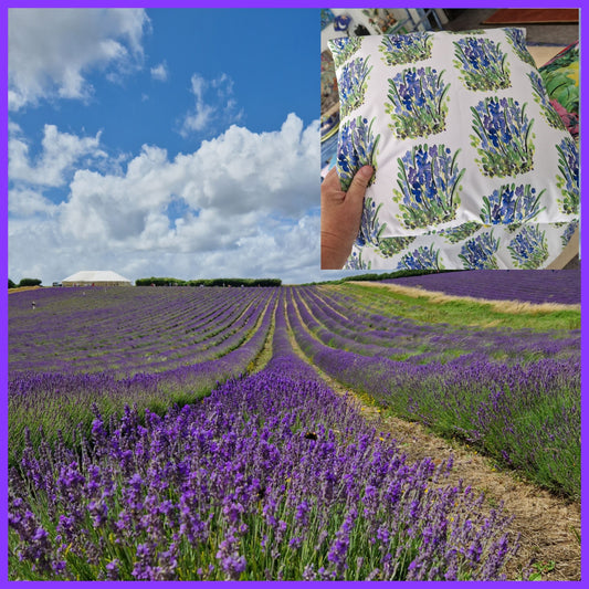Lavender Fields- Find out where my original artwork was painted!