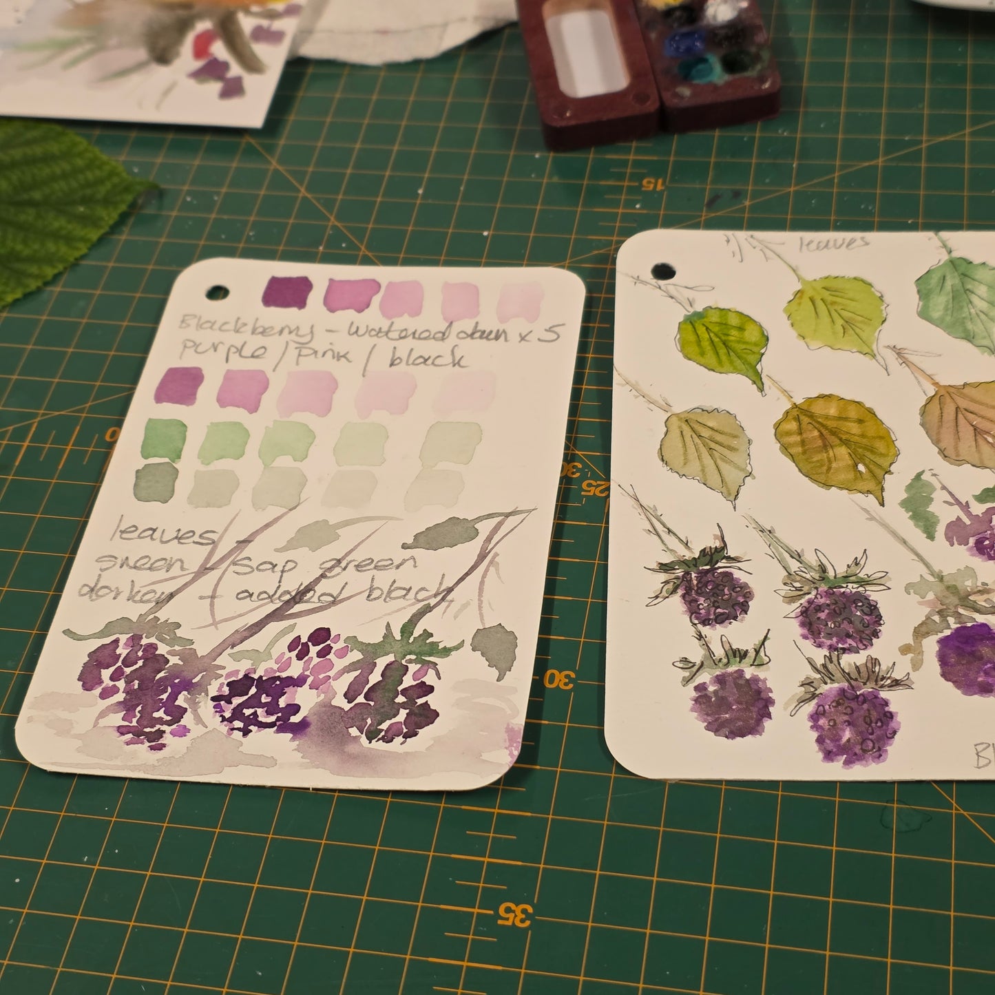 Studio Floral Watercolour Beginners Classes